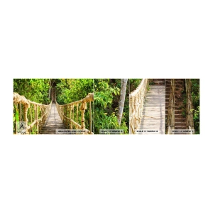Mostră de Tapet Standard Eco - Suspendat în verde - Junglă, Pod de frânghie, Natură - 100x30 cm
