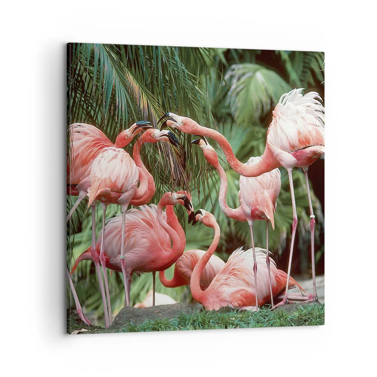 Tablou pe pânză - Bârfa de după-amiază - 50x50 cm