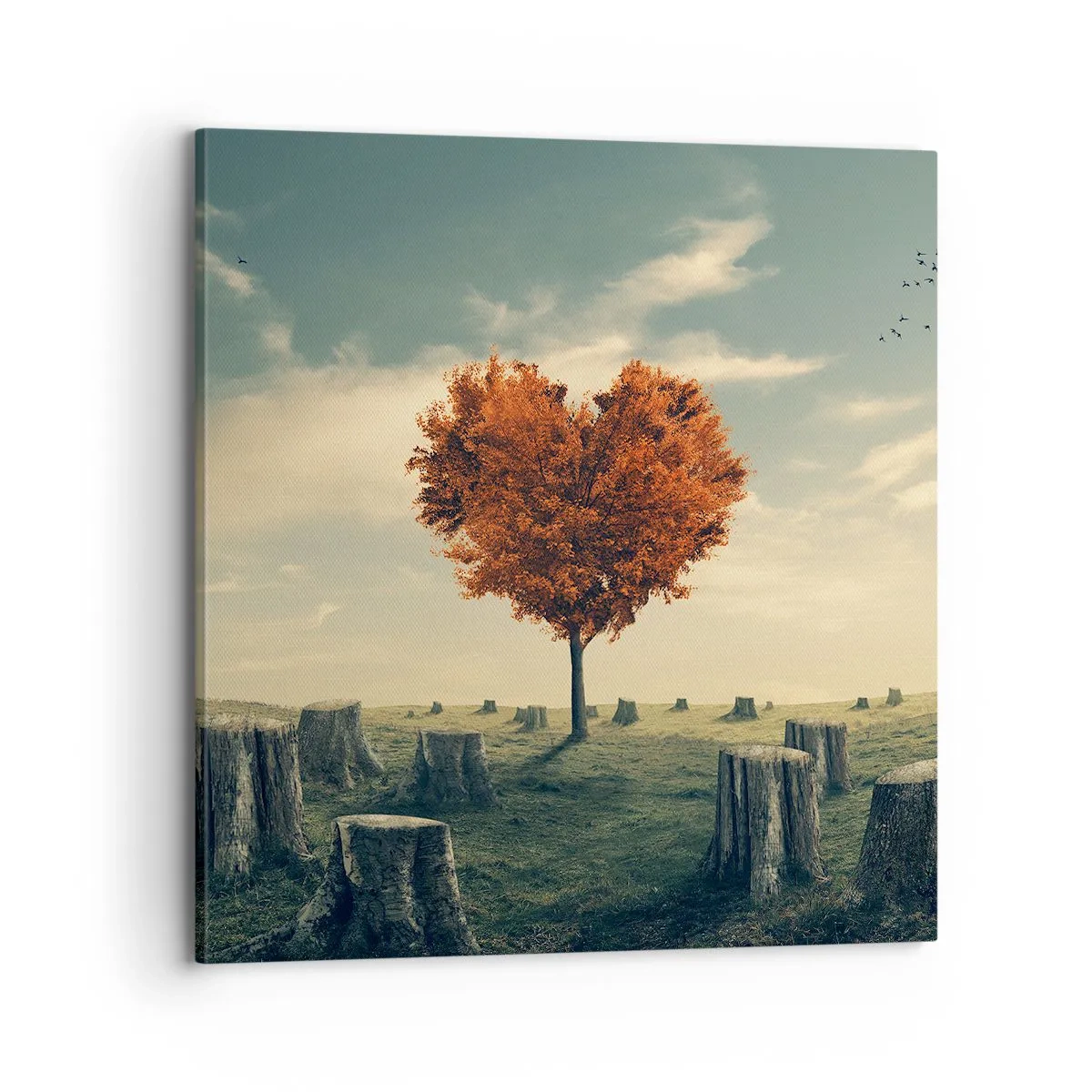 Tablou pe pânză - Încă mai există speranță - 70x70 cm