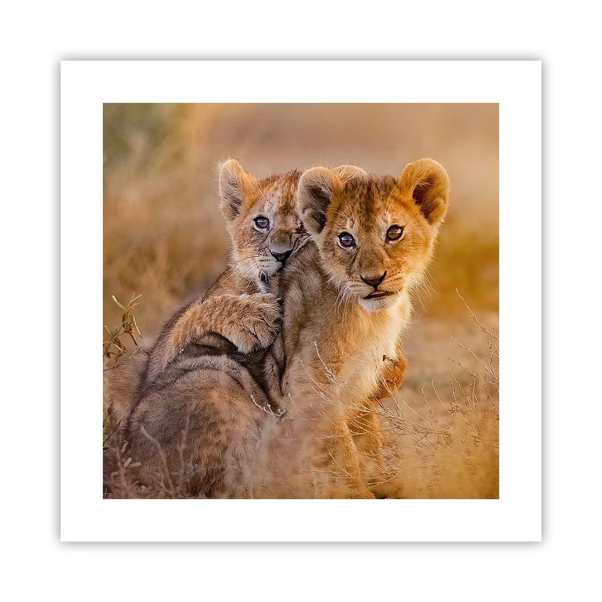 Poster - Nu deranjați! Ne distrăm - 40x40 cm