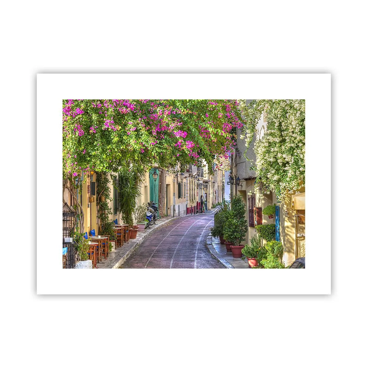 Poster - Alee înfloritoare - 40x30 cm