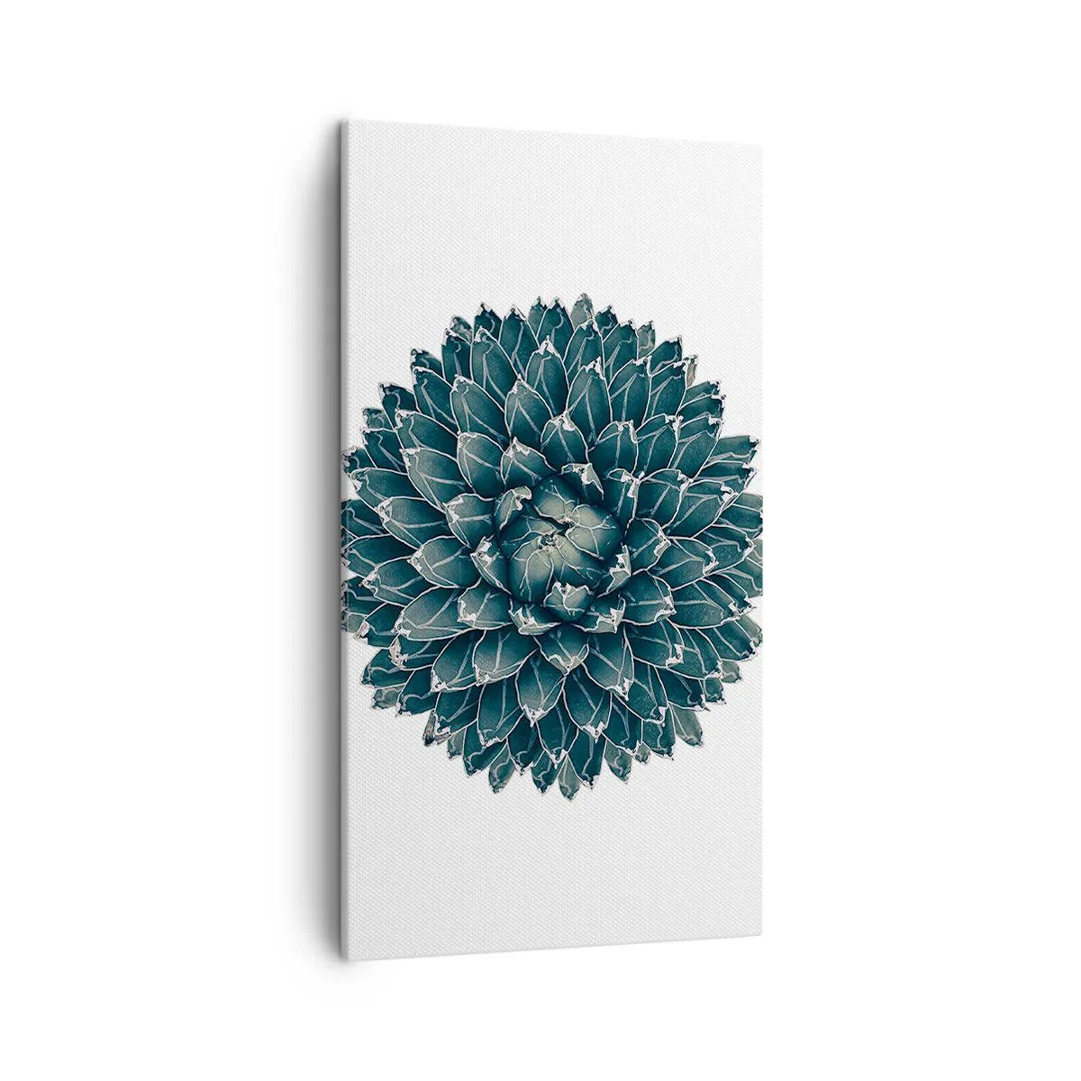 Tablou pe pânză - Steaua deșertului - 45x80 cm