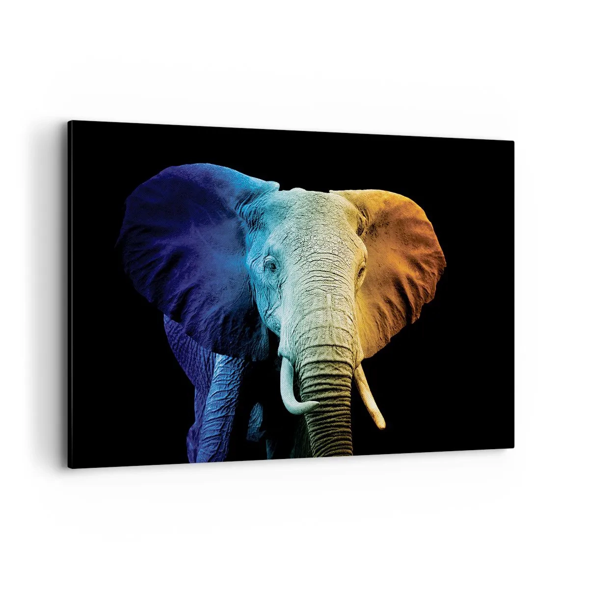 Tablou pe pânză - Excentric, nu ciudat - 100x70 cm