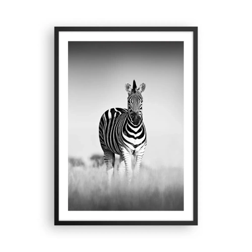Poster în ramă neagră - O zebră într-o compoziție alb-negru pe savană - 50x70cm - Și totuși lumea e albă și neagră - Decorațiune modernă pentru perete pentru living și dormitor ARTTOR