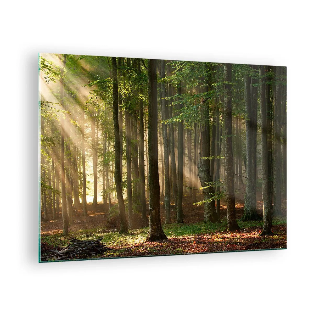 Tablou pe sticlă - Razele soarelui strălucesc printre copacii din pădure - 70x50cm - Strălucitoare într-o dimineață de primăvară - Decorațiune modernă pentru perete pentru living și dormitor ARTTOR
