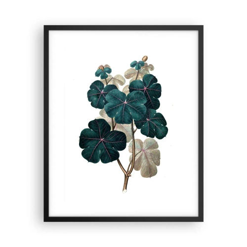 Poster în ramă neagră - Dintr-un vechi ierbar - 40x50 cm