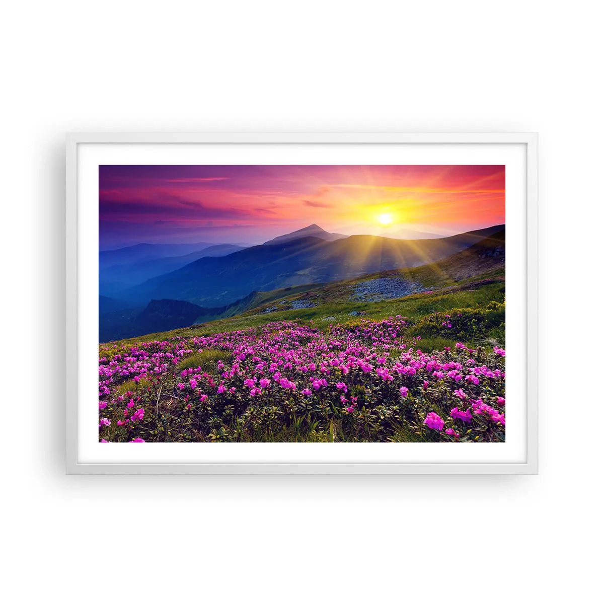 Poster în ramă albă - ... Și peste tot în jur se simte un miros de jneapăn și parfum de ierburi... - 70x50 cm