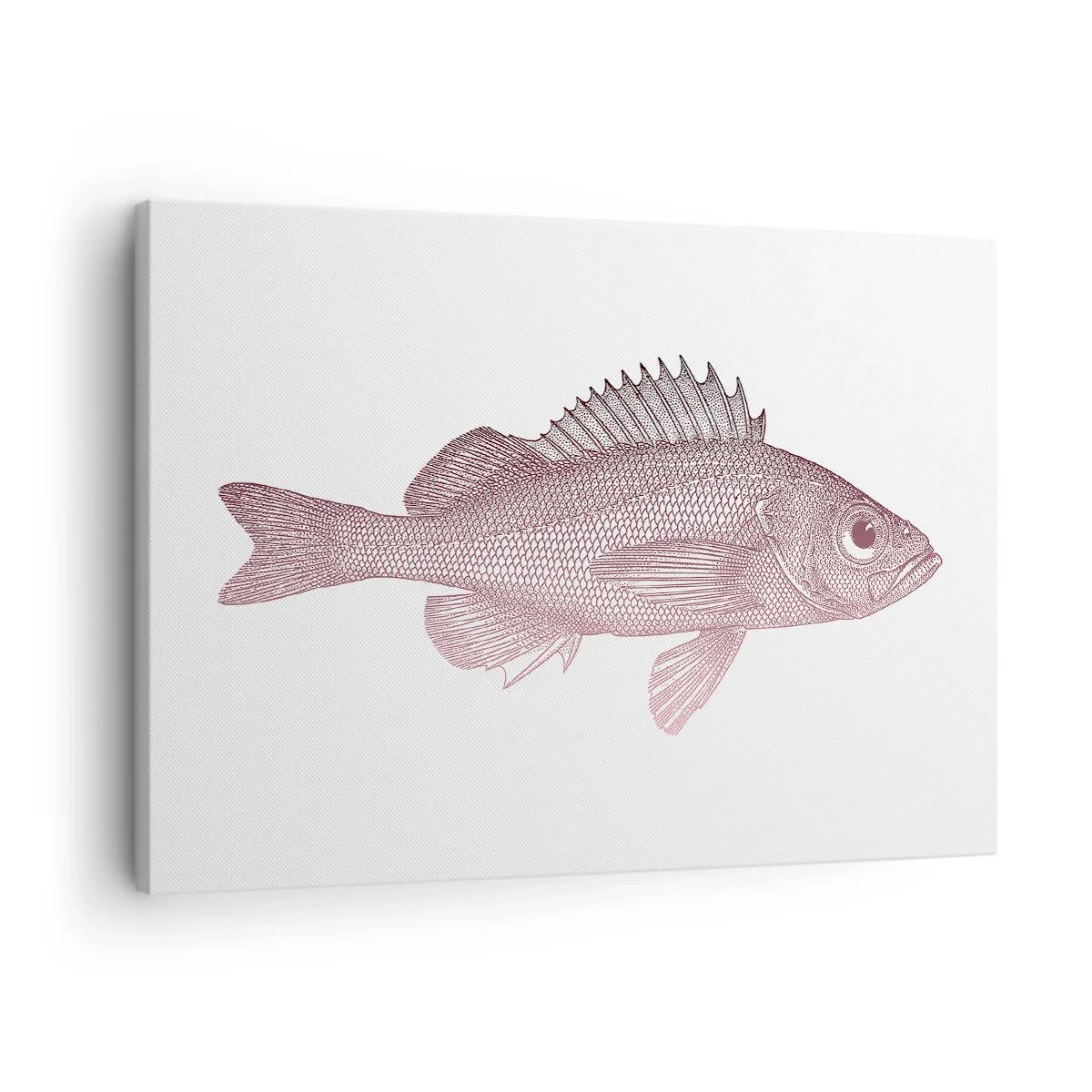 Tablou pe pânză Canvas - Ilustrație detaliată a unui pește pe fundal alb - 70x50cm - Pește cu ochi mari - Decorațiune modernă pentru perete pentru living și dormitor ARTTOR