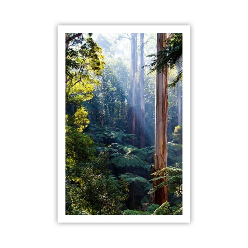 Poster - O poveste din pădure - 61x91 cm