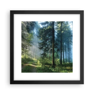Poster în ramă neagră - Strălucirea de dimineață - 30x30 cm