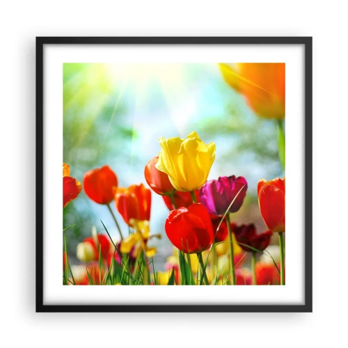 Poster în ramă neagră - Toate culorile soarelui - 50x50 cm