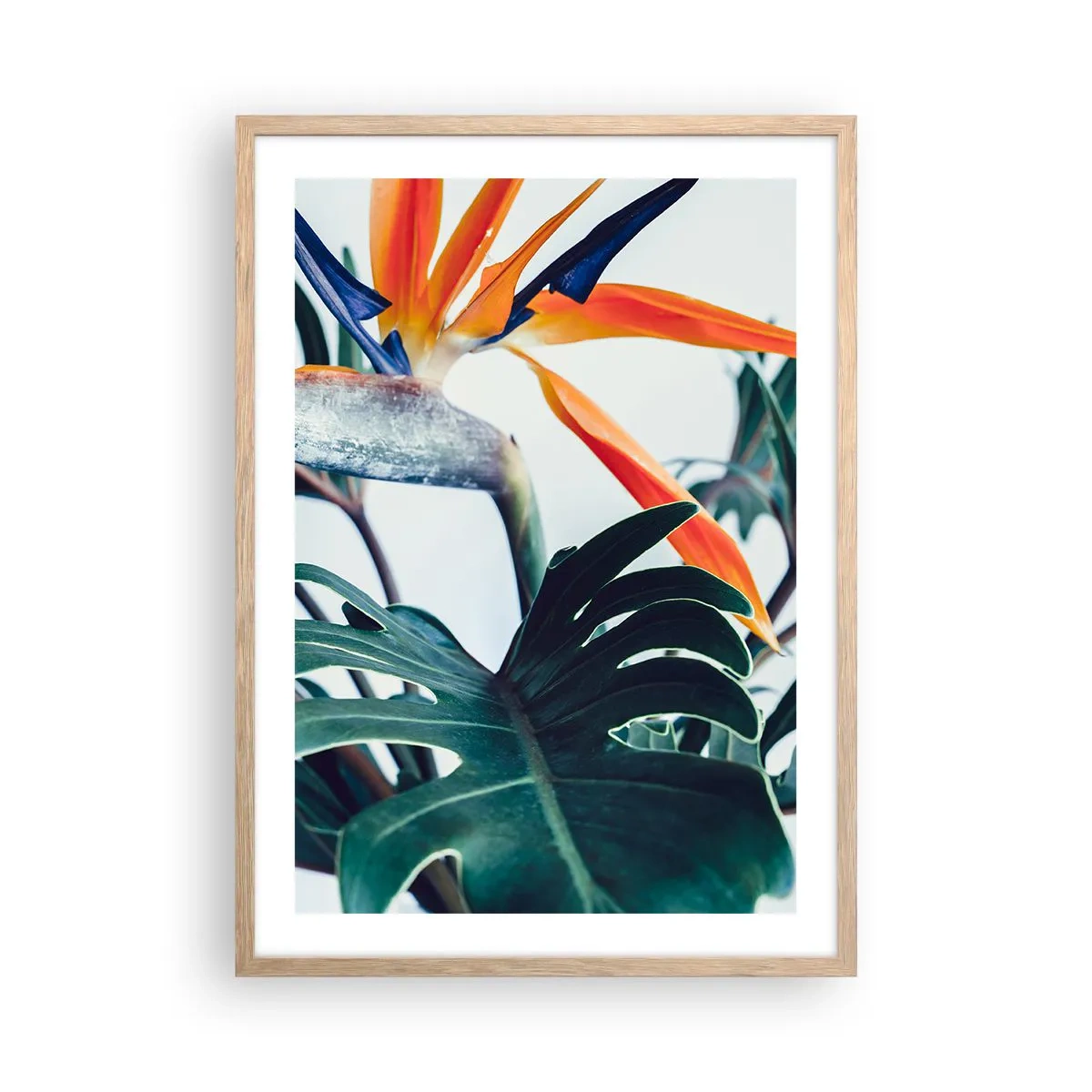 Poster în ramă de stejar deschis - Tufiș sau pasăre? - 50x70 cm