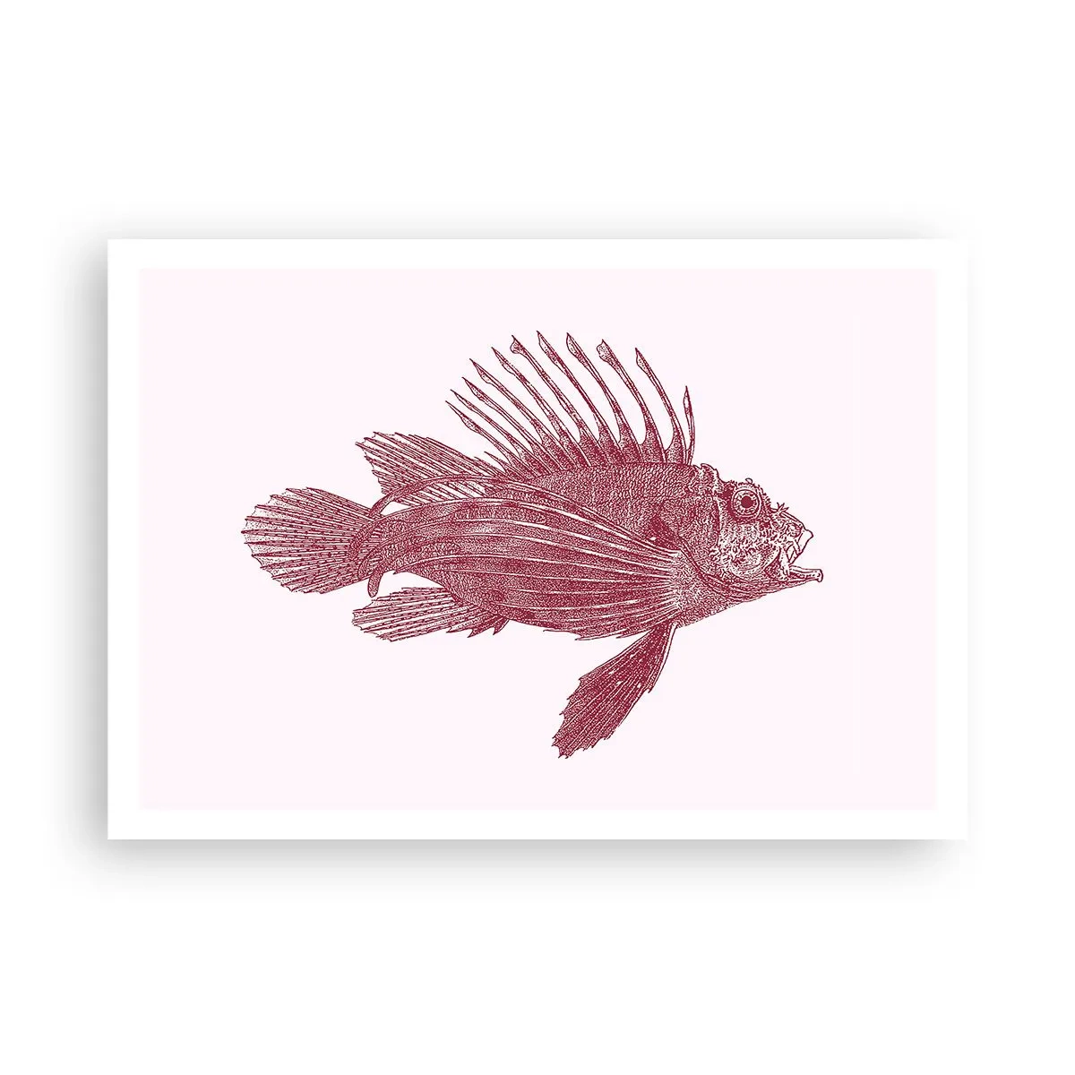 Poster - Un locuitor al apelor exotice - 100x70 cm