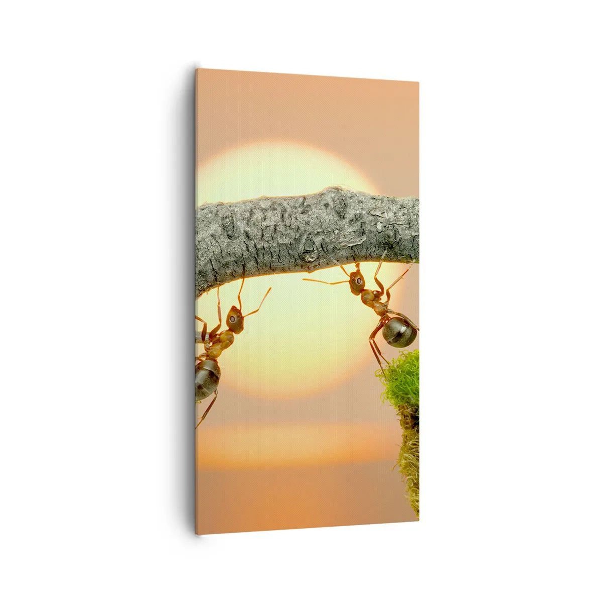 Tablou pe pânză - Cooperare veselă - 65x120 cm