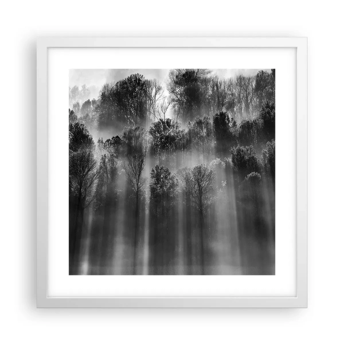 Poster în ramă albă - În fluxuri de lumină - 40x40 cm
