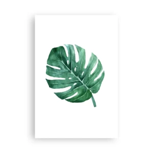 Poster - Conceptul verde - 61x91 cm