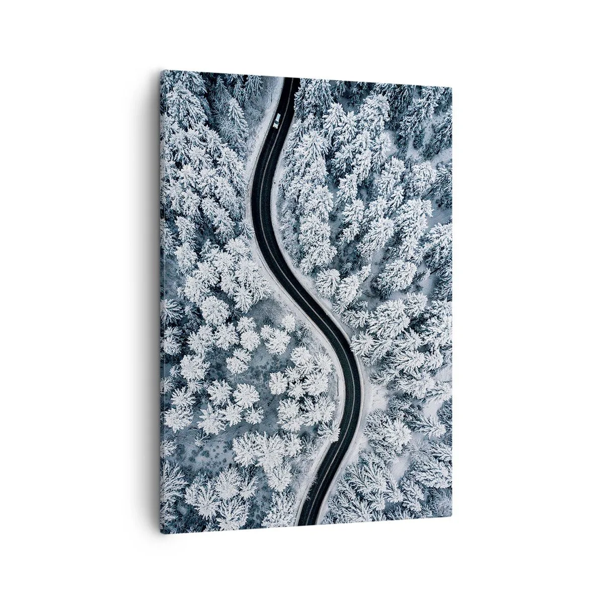 Tablou pe pânză - Prin pădurea de iarnă - 50x70 cm