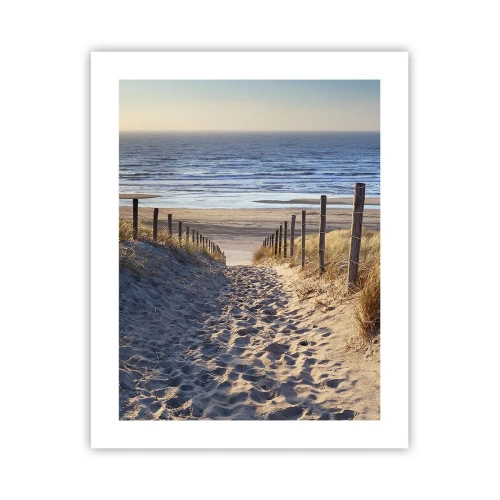 Poster - Zumzet de mare, o plajă sălbatică printre ierburi... - 40x50 cm