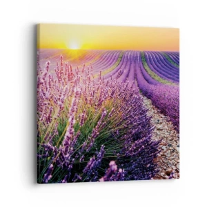 Tablou pe pânză - Câmpul parfumat - 40x40 cm