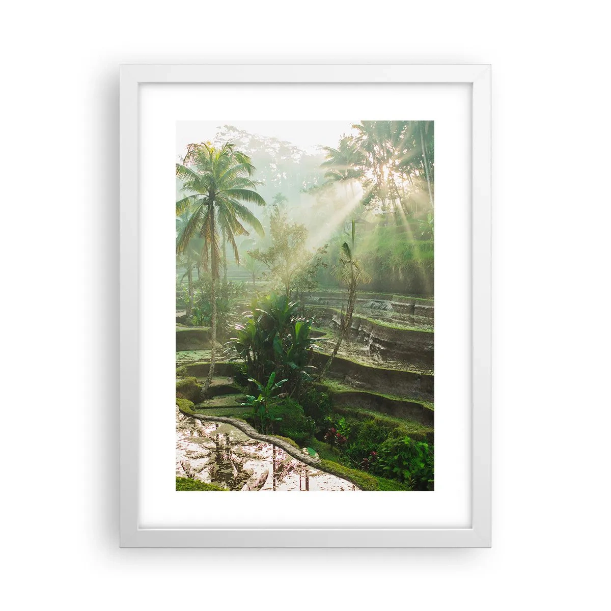 Poster în ramă albă - Crescând la soare - 30x40 cm