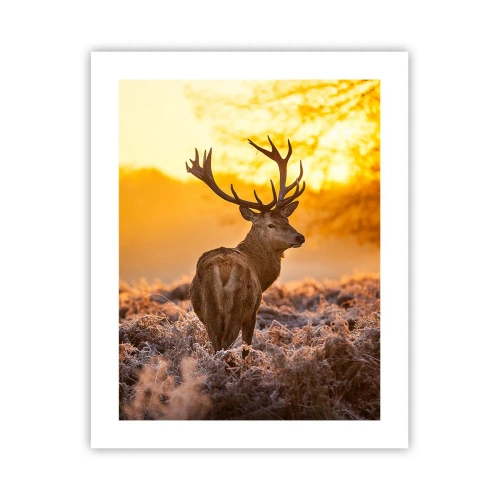 Poster - Regele pădurii de toamnă - 40x50 cm