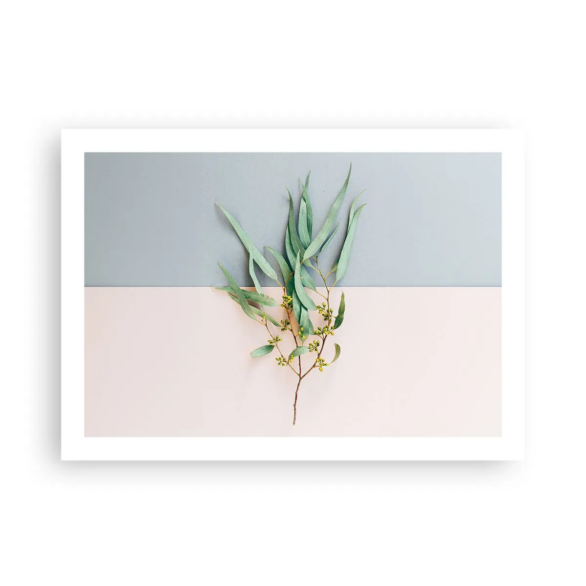 Poster - Subtilitate pastelată - 70x50 cm