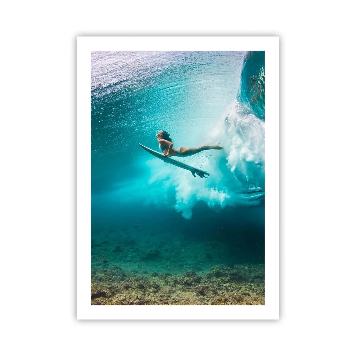 Poster - Lumea subacvatică - 50x70 cm