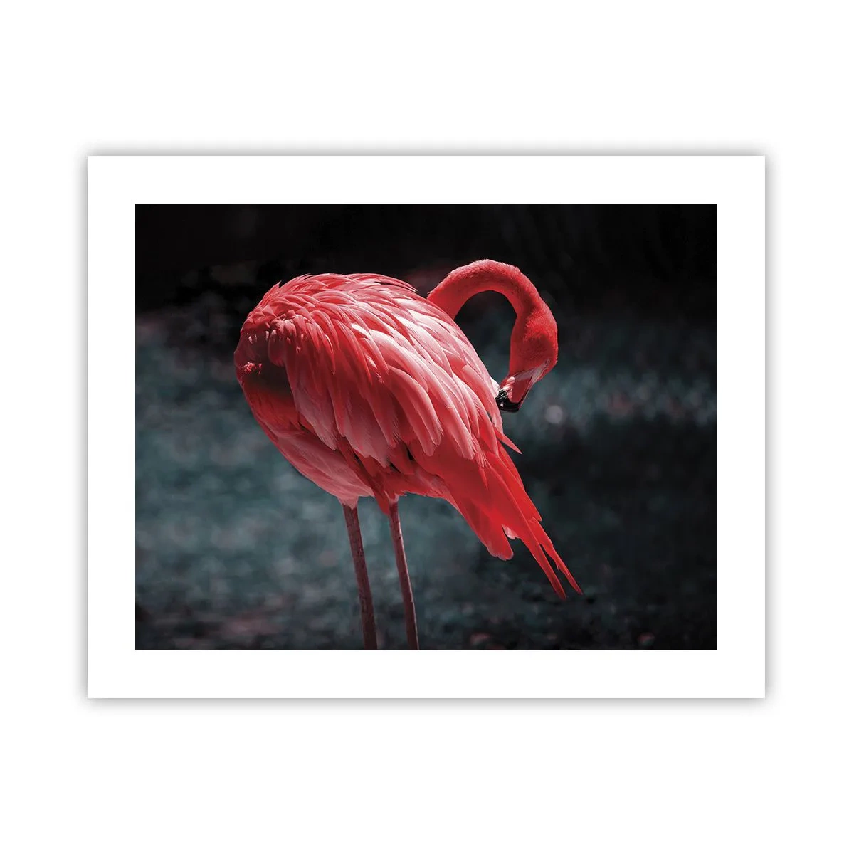 Poster - Poemul purpuriu al naturii - 50x40 cm