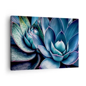 Tablou pe pânză Canvas - Agave în nuanțe de albastru și verde cu accente roz - 70x50cm - Forța vitală - Decorațiune modernă pentru perete pentru living și dormitor ARTTOR