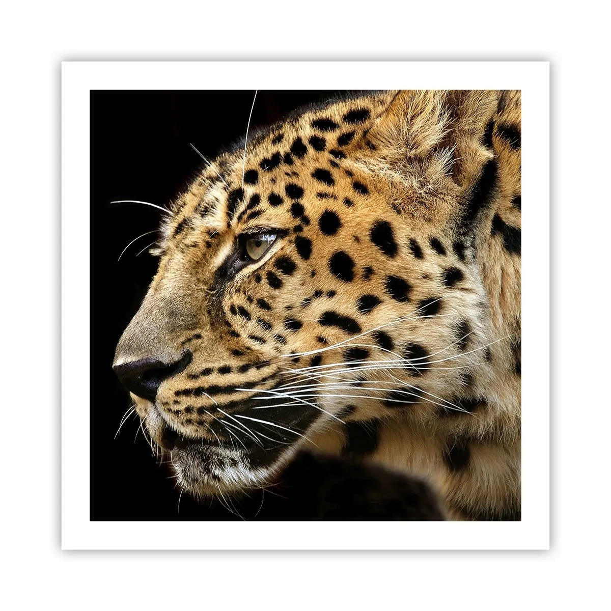 Poster - Calm, concentrat, pregătit - 60x60 cm