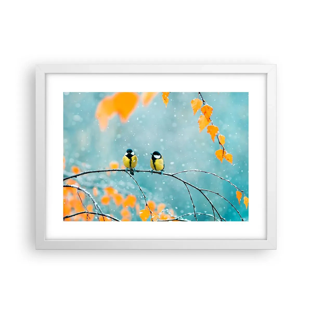 Poster în ramă albă - Bârfele păsărilor - 40x30 cm