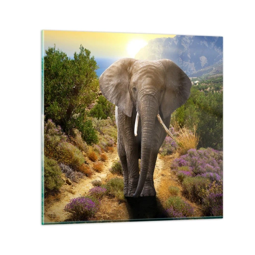 Tablou pe sticlă - Iată cum arăta Edenul - 60x60 cm