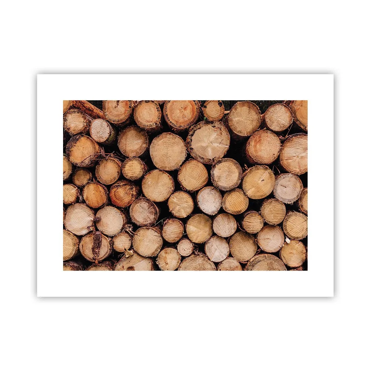 Poster - Un nou început - 40x30 cm