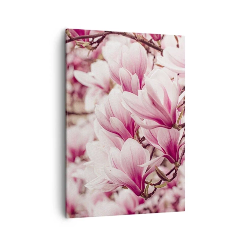 Tablou pe pânză - Primăvara este roz - 50x70 cm