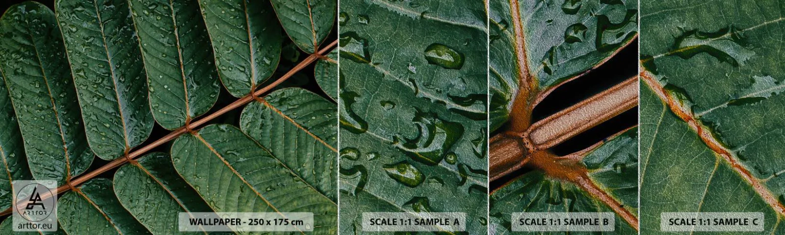 Mostră tapet Premium Sand - Într-un ritm verde - Frunze verzi, Planta tropicala, Bucată - 100x30 cm