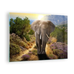 Tablou pe sticlă - Un elefant pe fundalul unui peisaj montan la apus - 70x50cm - Iată cum arăta Edenul - Decorațiune modernă pentru perete pentru living și dormitor ARTTOR