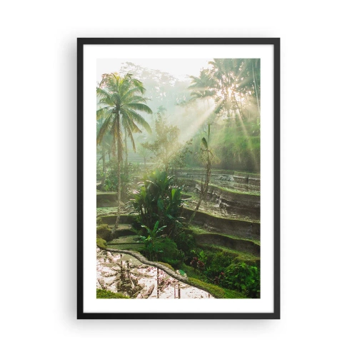 Poster în ramă neagră - Peisaj tropical cu terase de orez și soare - 50x70cm - Crescând la soare - Decorațiune modernă pentru perete pentru living și dormitor ARTTOR