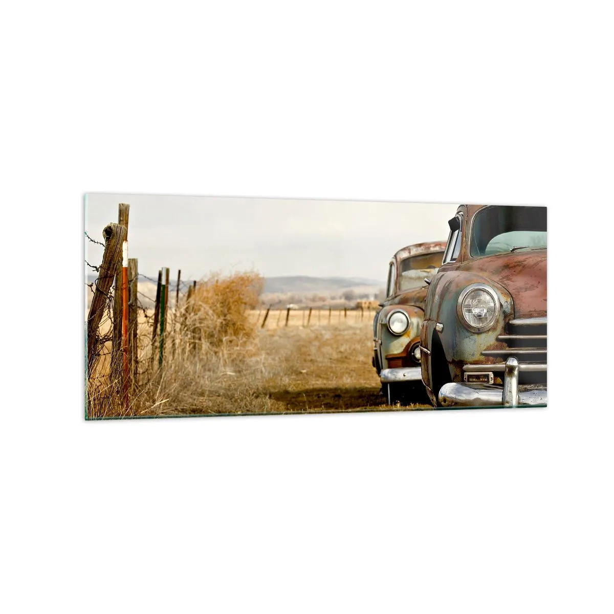 Tablou pe sticlă - O odihnă binemeritată - 120x50 cm