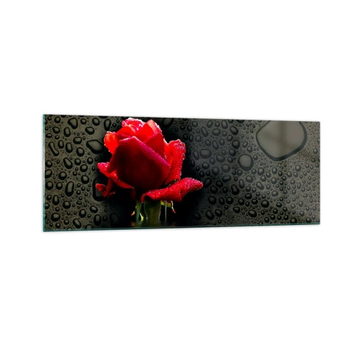 Tablou pe sticlă - Roșu și negru - 140x50 cm