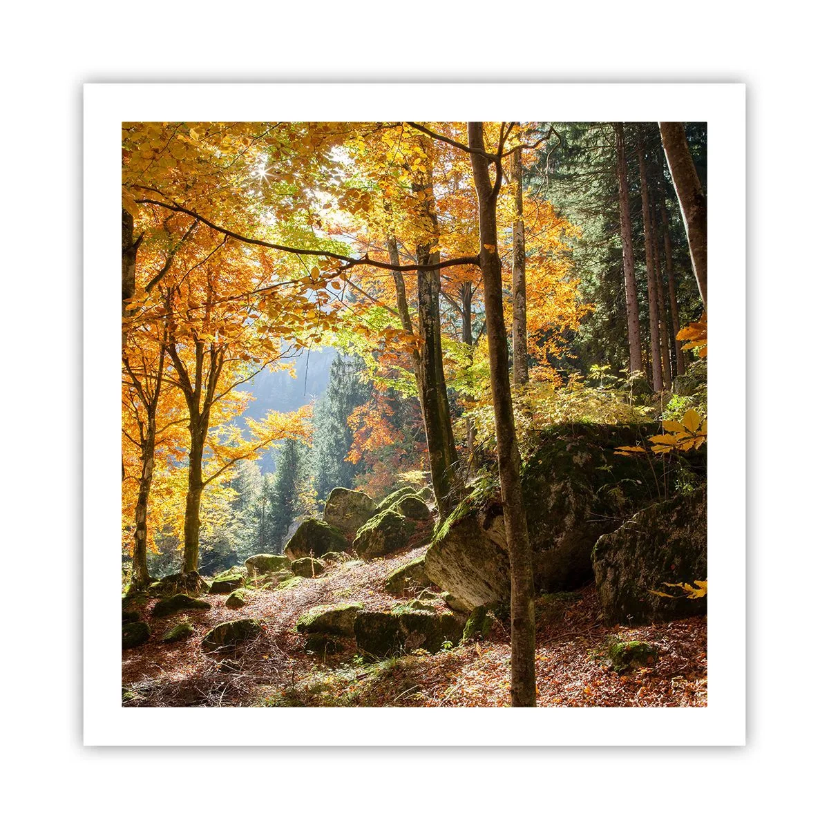 Poster - Timp de relaxare - 60x60 cm