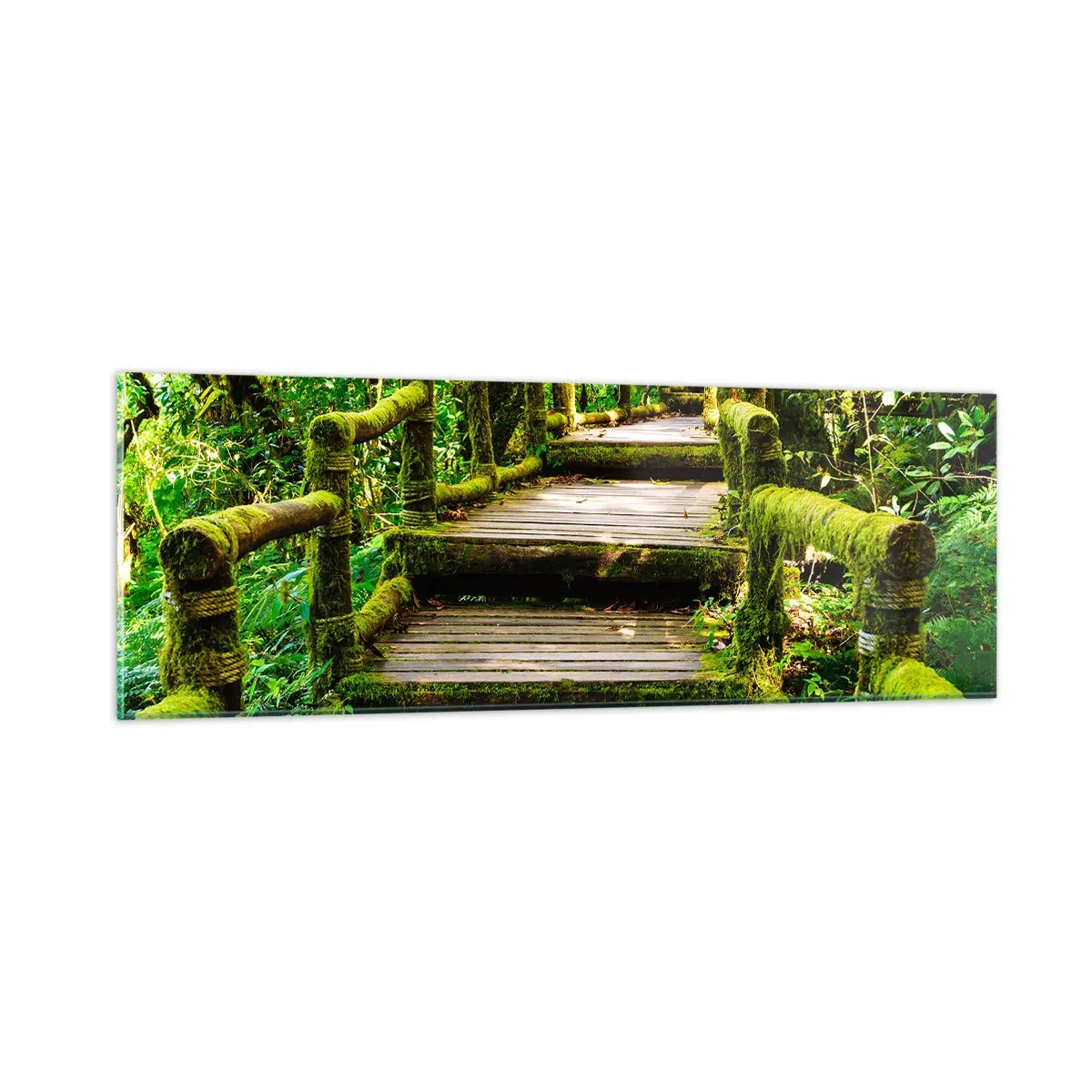 Tablou pe sticlă - Coridorul verde - 90x30 cm