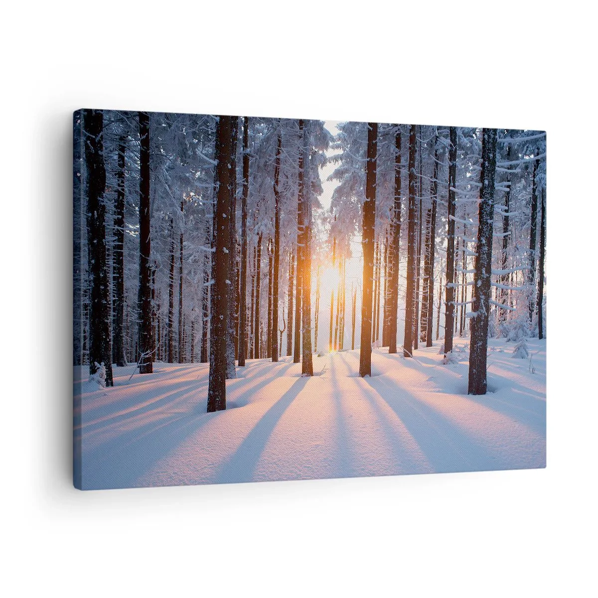 Tablou pe pânză Canvas - Pădurea de iarnă luminată de razele soarelui - 70x50cm - În mod clar în alb și negru - Decorațiune modernă pentru perete pentru living și dormitor ARTTOR