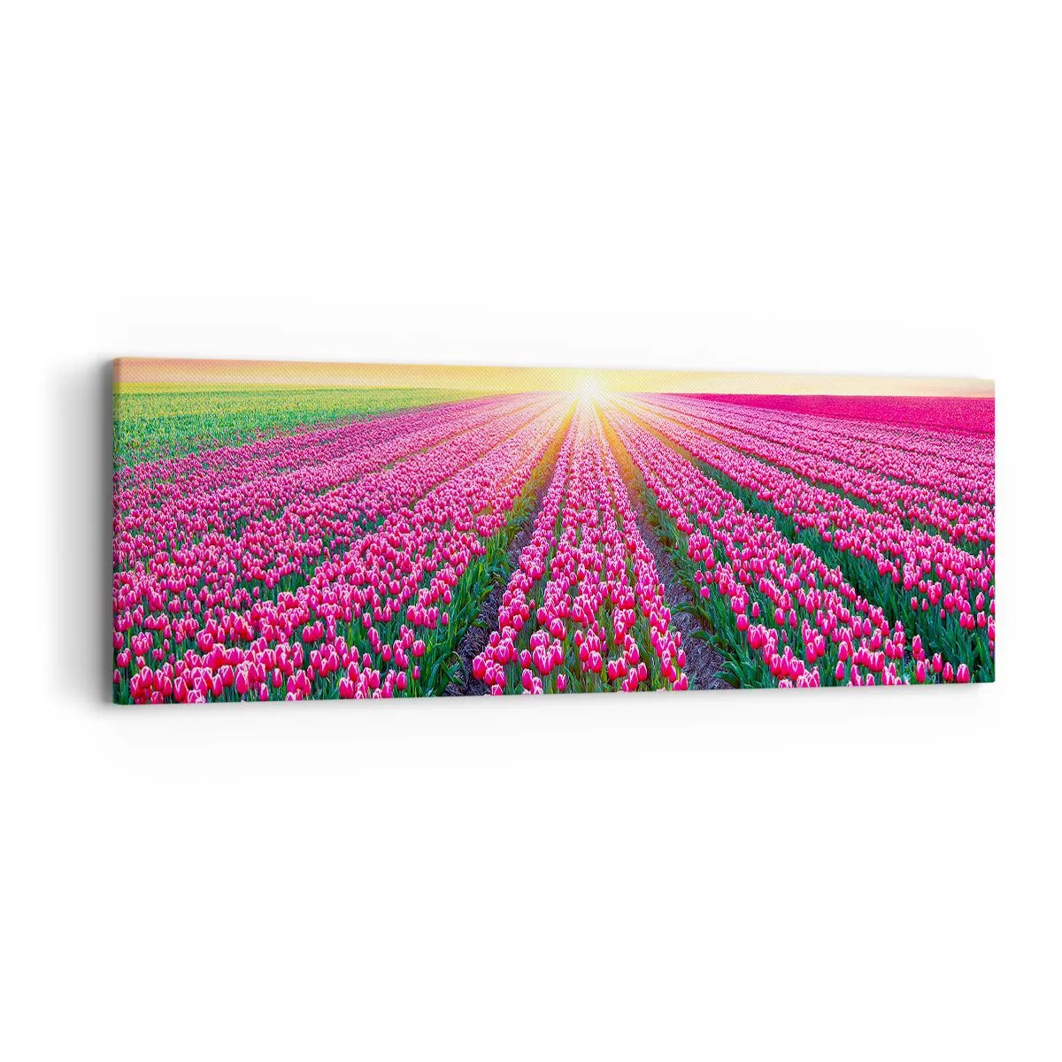 Tablou pe pânză - Ferma de frumusețe - 90x30 cm