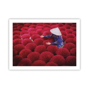 Poster - Într-un câmp de orez - 70x50 cm