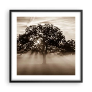 Poster în ramă neagră - Un copac de vești bune - 50x50 cm