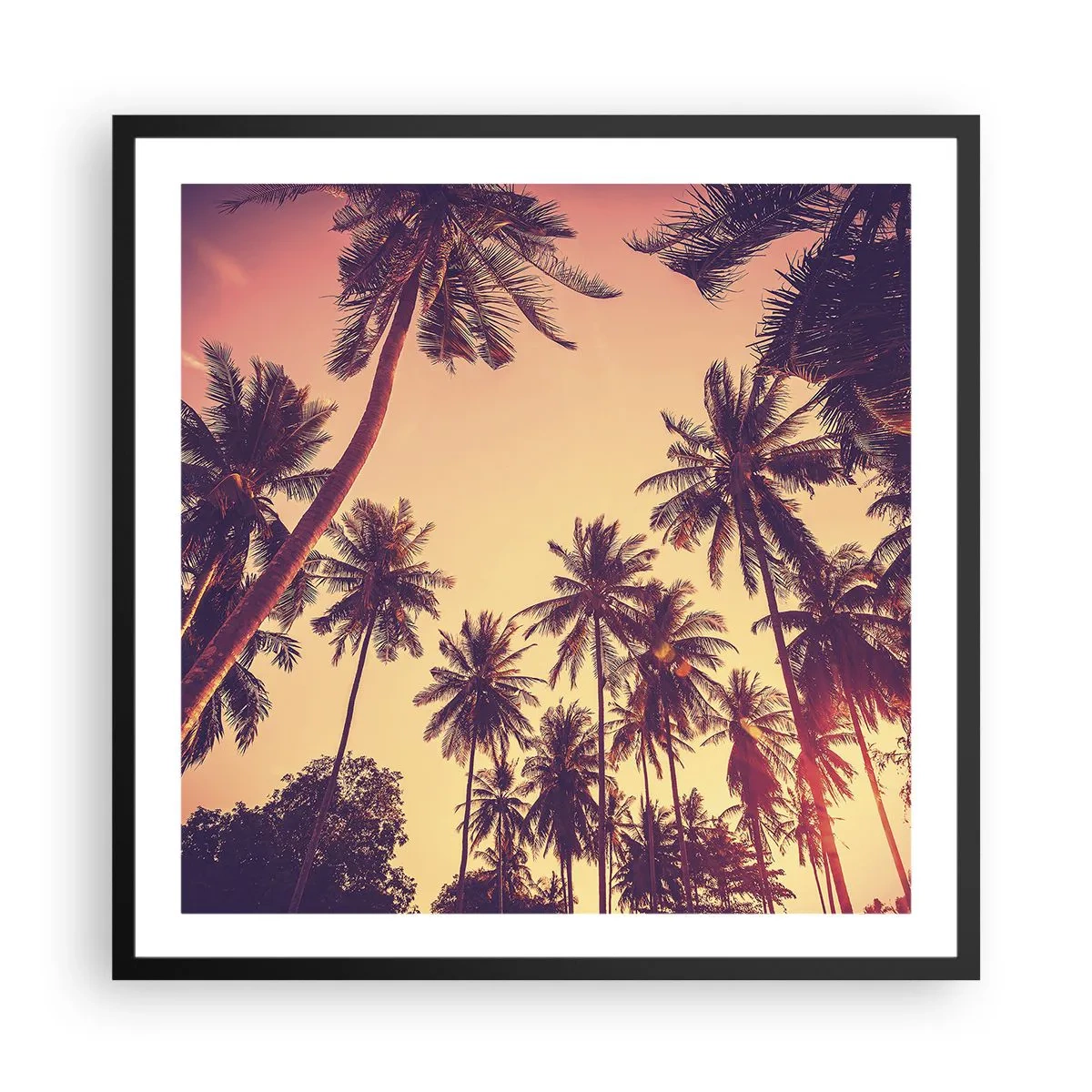 Poster în ramă neagră - Variație tropicală - 60x60 cm