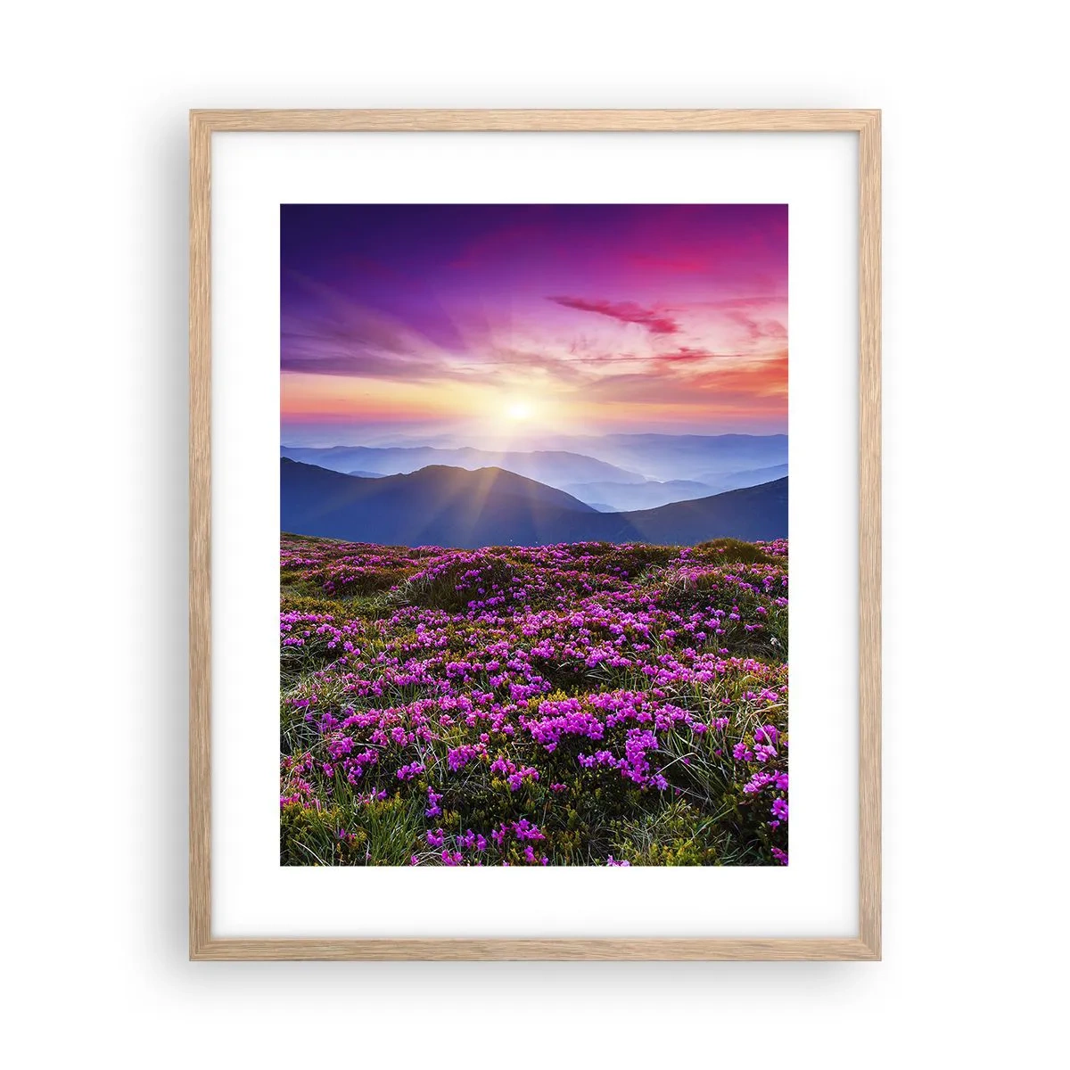 Poster în ramă de stejar deschis - Ierburile proaspete miroseau puternic - 40x50 cm