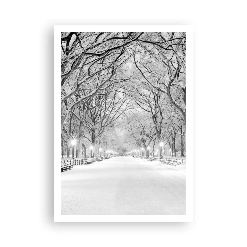 Poster - Cele patru anotimpuri – iarna - 70x100 cm