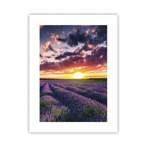 Poster - Lumea lavandei - 30x40 cm