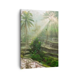 Tablou pe pânză - Crescând la soare - 50x70 cm